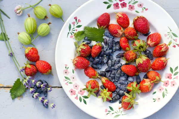 Bayas en un plato — Foto de Stock