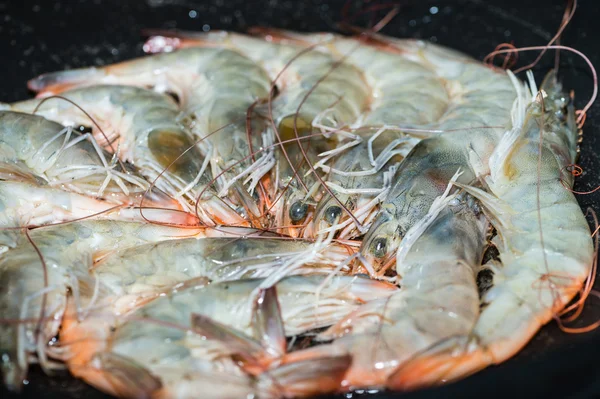 Camarones crudos en frypan —  Fotos de Stock