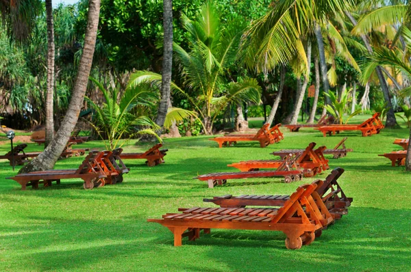 Camas de playa entre árboles tropicales — Foto de Stock