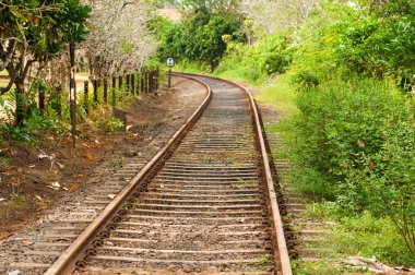 yeşil bitkiler geçen demiryolu hattı