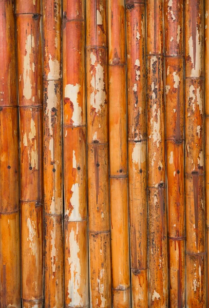Гранж бамбуковый забор фон — стоковое фото