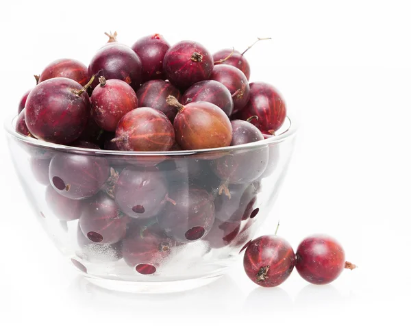 Fresh brown gooseberry in bowl — Stock Photo, Image