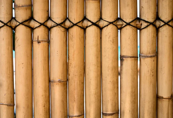 Valla de bambú — Foto de Stock