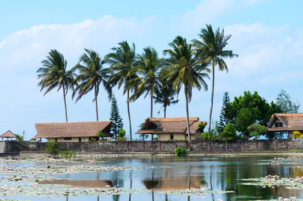 Case tropicali e stagno coperto da gigli — Foto Stock