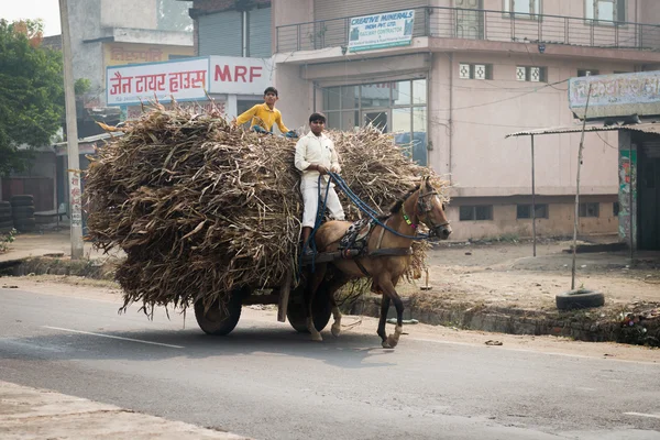 Two Indian boys ride a horse with loaded cart on a road — Stock Photo, Image