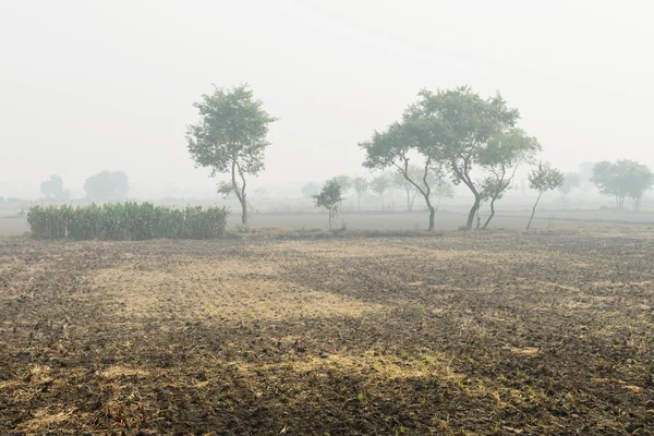 Foggy cultivated plowed fields — Stock Photo, Image