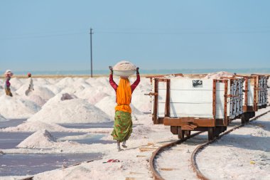 Salt collecting in salt farm, India clipart