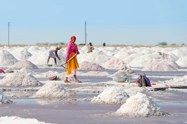 Сбор соли на соляной ферме, Индия — стоковое фото