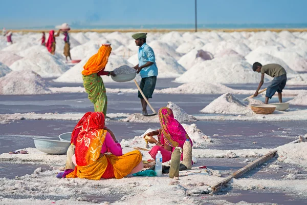 Zout verzamelen in zout boerderij, india — Stockfoto