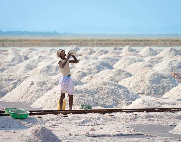 Salt collecting in salt farm, India — Stock Photo, Image