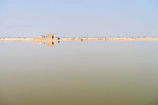 Sambhar Salzsee, Indien — Stockfoto