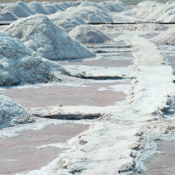 Zout stapels in zout boerderij, india — Stockfoto