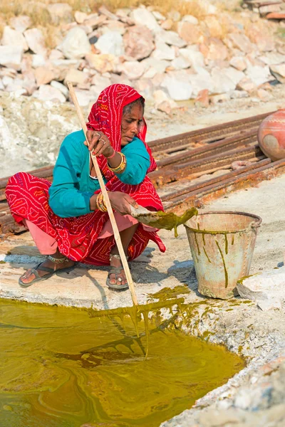 Indiase vrouw verzamelt algen — Stockfoto
