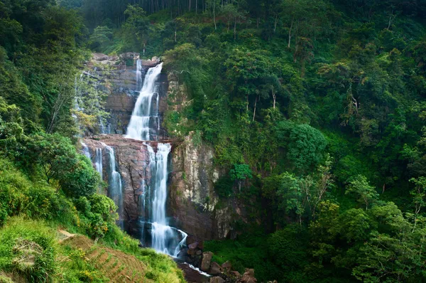 在绿色的热带森林中的大瀑布 — 图库照片
