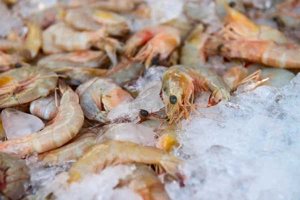 Camarones frescos sobre hielo —  Fotos de Stock