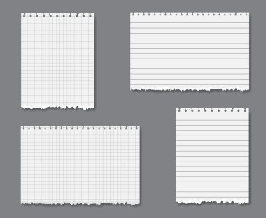 set ile çizgili vektör ve grafik kağıdı