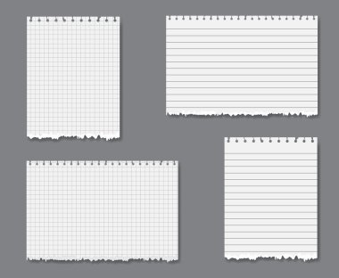 Vector set with lined and graph paper clipart