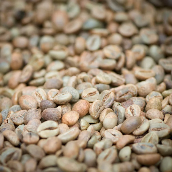 Granos de café verdes sin tostar —  Fotos de Stock