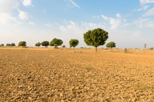 Agricultural ploughed land field in desert — Stock Photo, Image