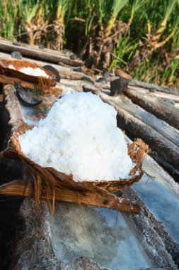 sepet ve taze ayıklanan deniz tuzu Bali, Endonezya