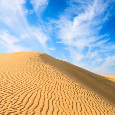 Gold dunes in great indian desert clipart