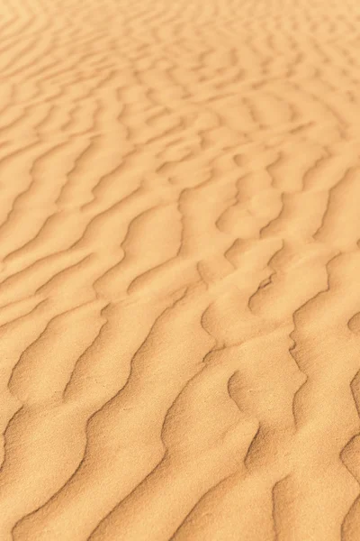 Golddünen in der großen indischen Wüste — Stockfoto