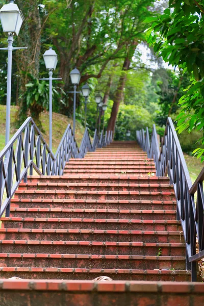 Escadas modernas em um parque — Fotografia de Stock