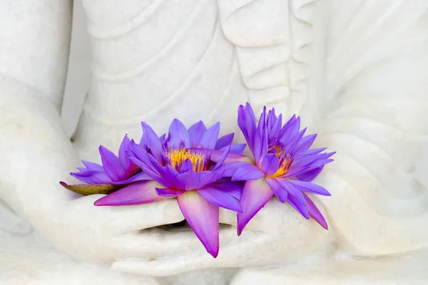 Fresh flowers in Buddha image hands — Stock Photo, Image