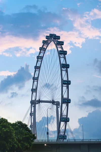 Rueda de la fortuna - Volante de Singapur — Foto de Stock