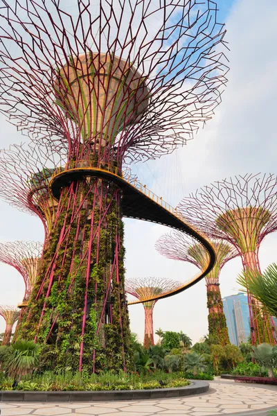 Ponte a pé em Super árvores em Jardins perto da Baía de Singapura — Fotografia de Stock