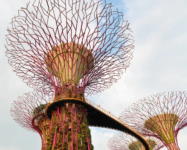 Ponte a pé em Super árvores em Jardins perto da Baía de Singapura — Fotografia de Stock