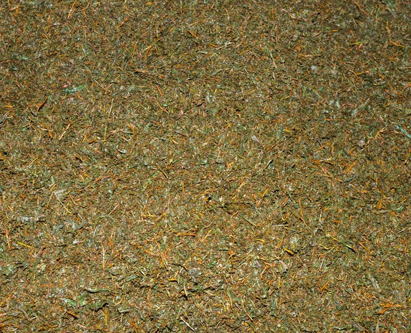 Crumbled up unsorted fresh green tea crop — Stock Photo, Image