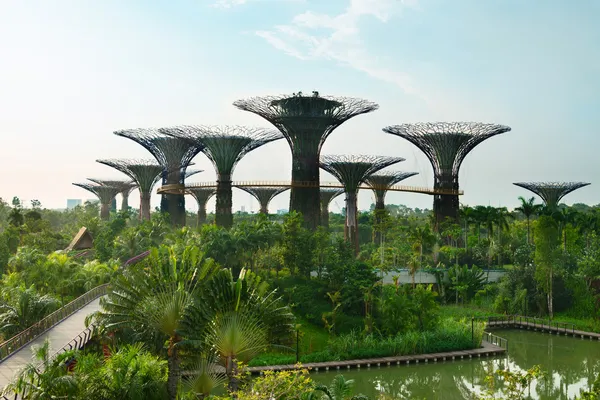 Jardins junto à Baía de Singapura com superárvores — Fotografia de Stock