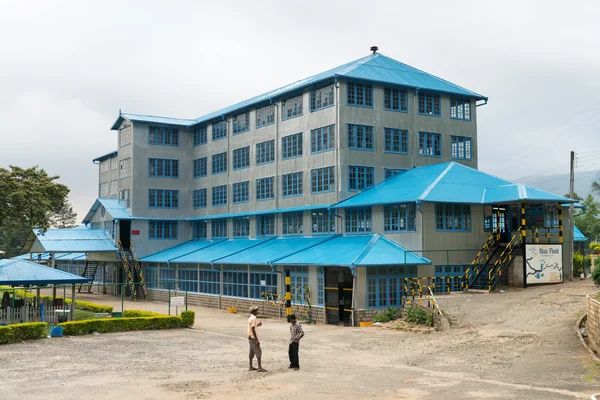 Fábrica de té, Nuwara Eliya, Sri Lanka . — Foto de Stock