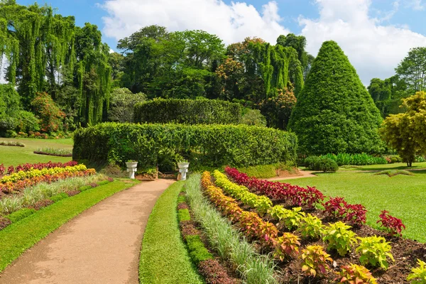 Hermoso jardín botánico tropical —  Fotos de Stock
