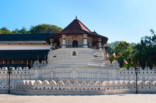 Buddhova zubu v kandy, Srí lanka — Stock fotografie