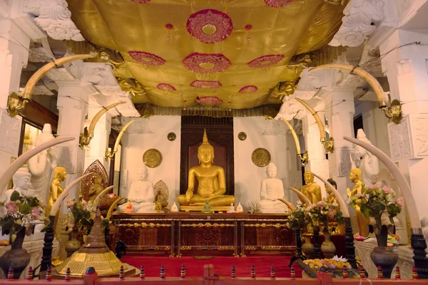 Buddha patsas temppeli sisustus — kuvapankkivalokuva