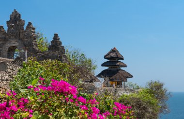 Bali dili Tapınağı ve pembe çiçekler