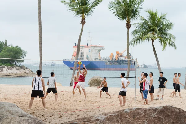 Группа мужчин играет в волейбол на пляже — стоковое фото