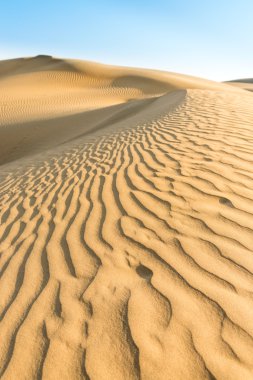 Altın sarı kum tepelerine mavi gökyüzü altında