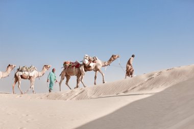 bedevilerin ve beyaz dunes içinde deve karavan