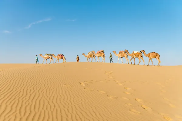 Caravana en dunas del desierto de arena — Foto de Stock