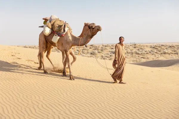 Beduini e cammelli in dune di sabbia nel deserto — Foto Stock