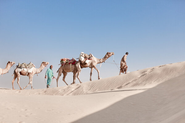 Caravan with bedouins and camels in white dunes