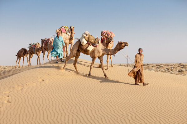 Caravan with bedouins and camels in desert