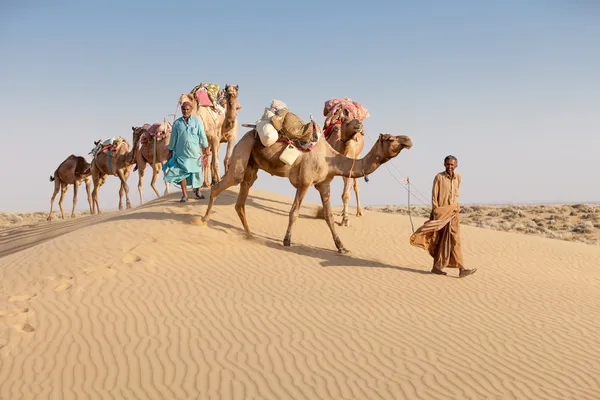 Caravana com beduínos e camelos no deserto — Fotografia de Stock