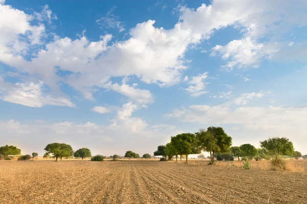 Champ agricole labouré dans le désert — Photo