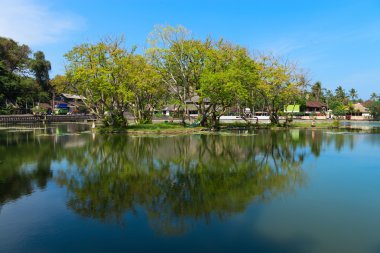 büyük yeşil ağaçlı tropik Gölü