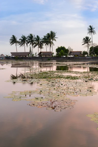 Закат на тропическом озере — стоковое фото