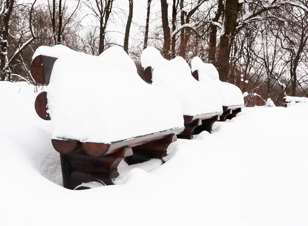 Снежная зима в парке — стоковое фото